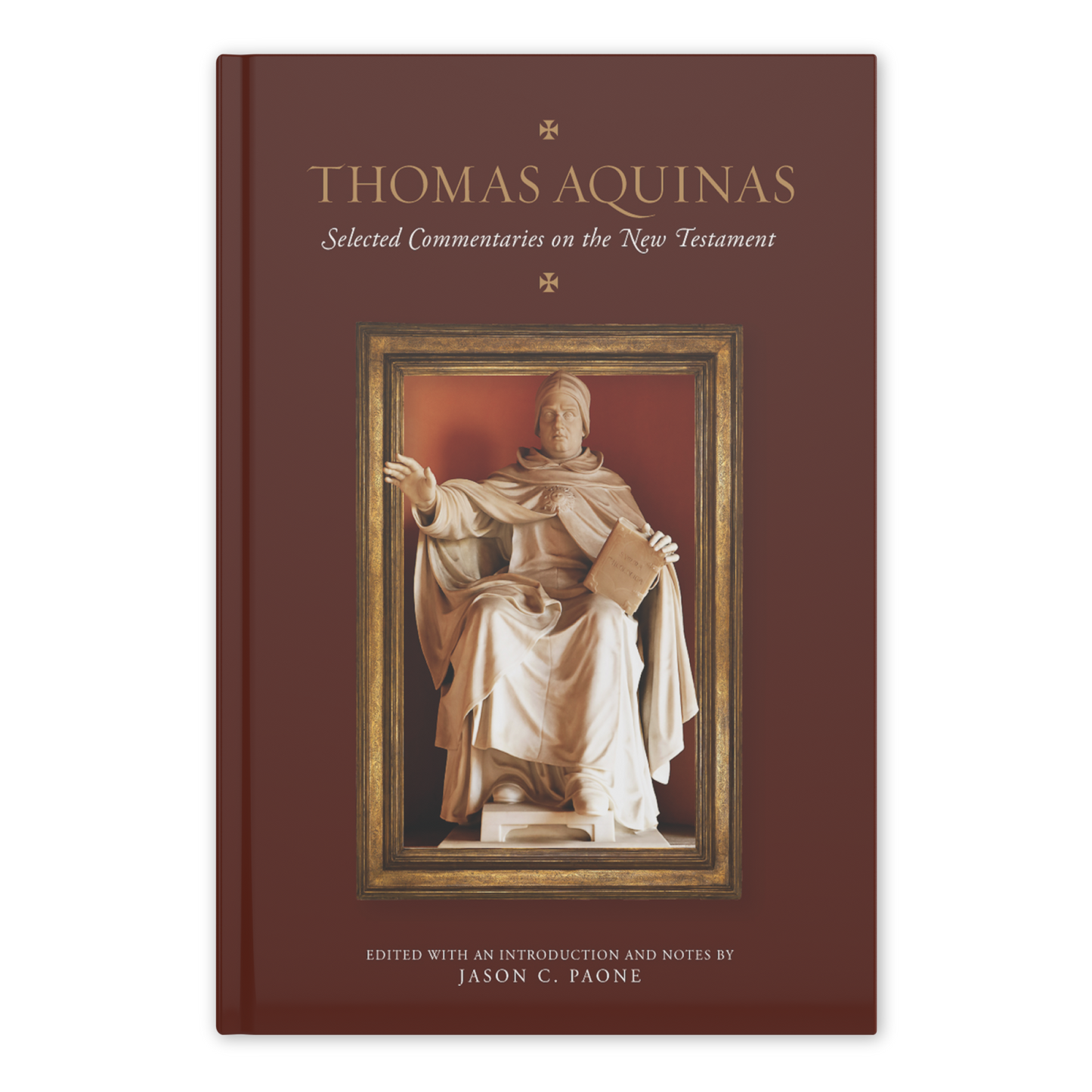 Thomas Aquinas Selected Commentaries Bundle